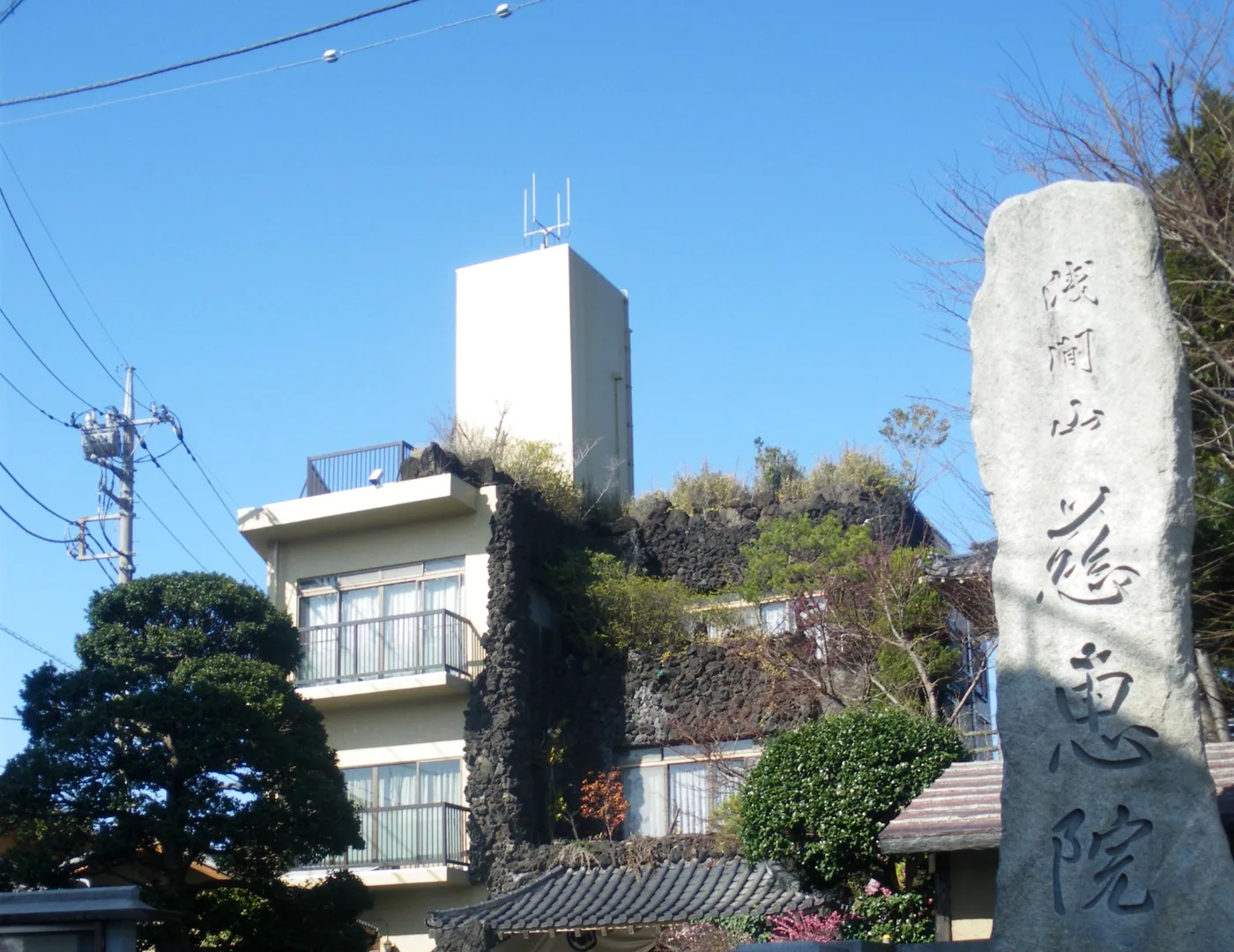 東京都府中市の慈恵院入口の写真の一部